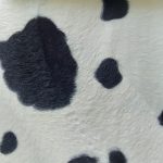 Safari Black & Cream Cow